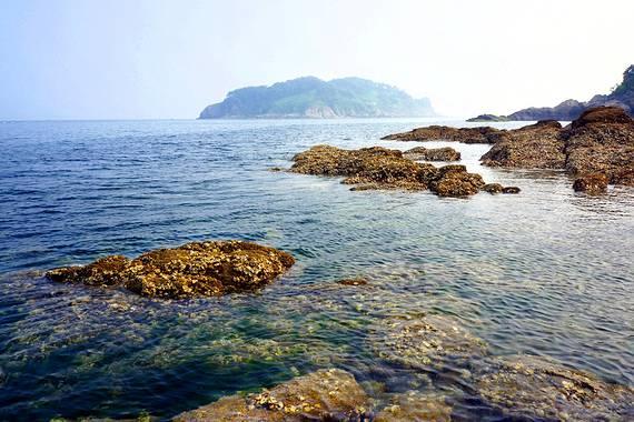 塔科马